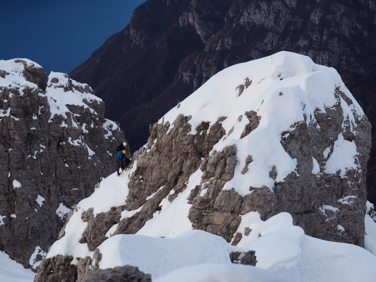 PHOTO-2020-11-15-12-21-57